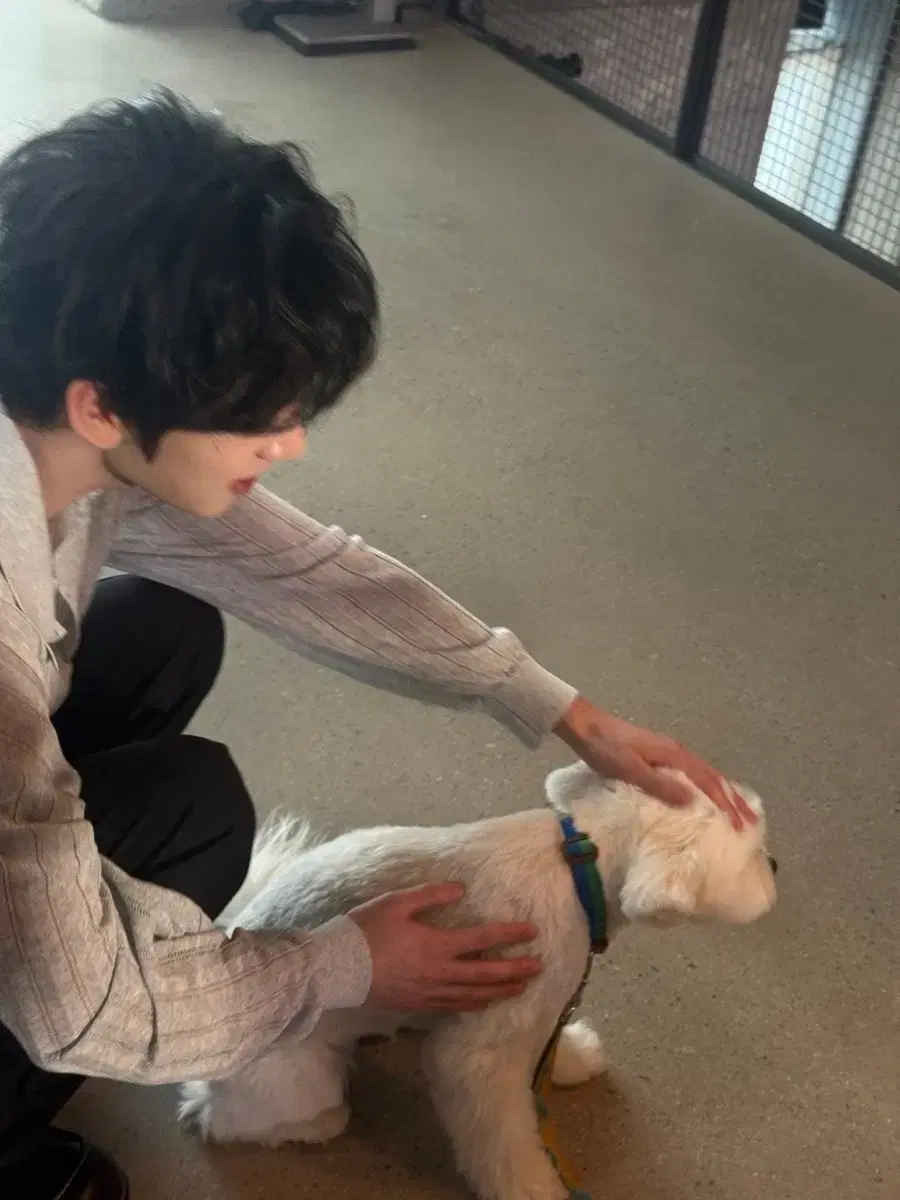 thumbnail-5